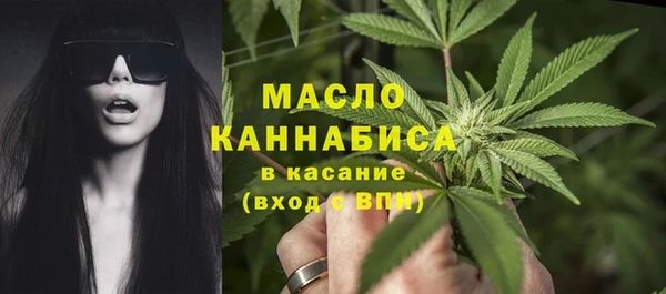 гидра Майский