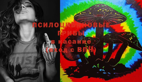 соль ск Вяземский